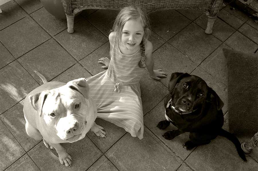 A child and two dogs